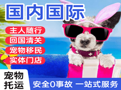 昭苏天马机场快运国际宠物托运 【国
